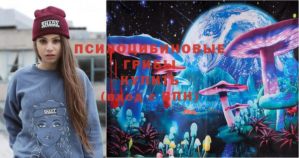 дживик Лихославль
