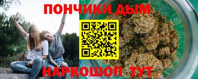 сатива Будённовск