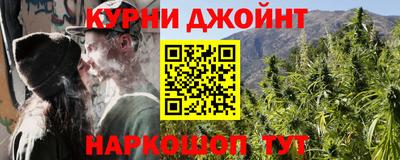 сатива Будённовск