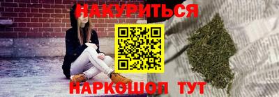 сатива Будённовск
