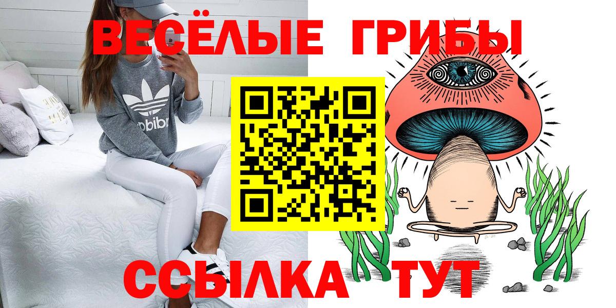Елабуга  Псилоцибиновые грибы ЛСД  Галлюциногенные грибы MAGIC MUSHROOMS  Вход с VPN 