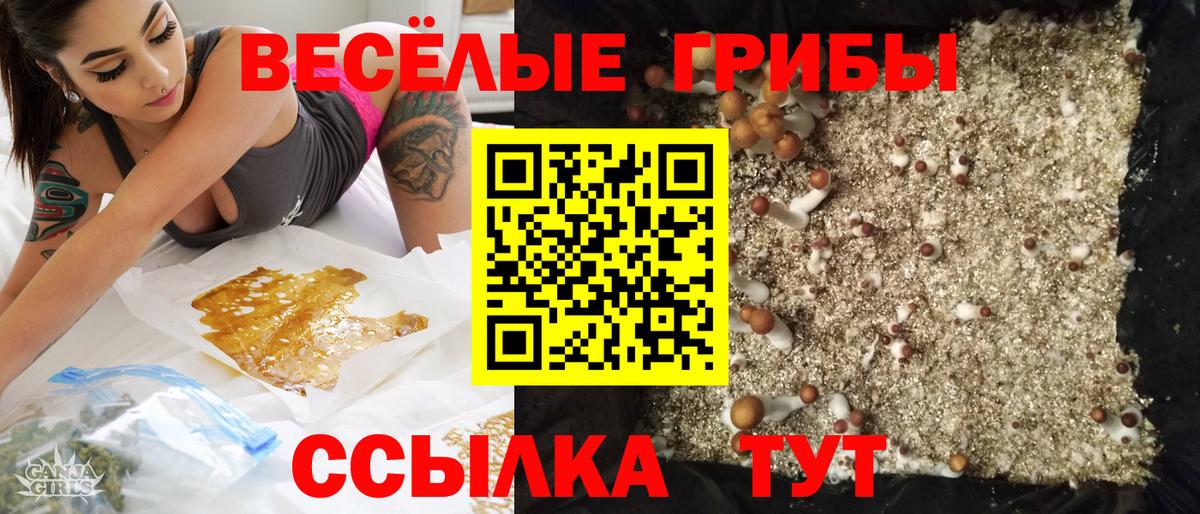 Галлюциногенные грибы Cubensis Елабуга