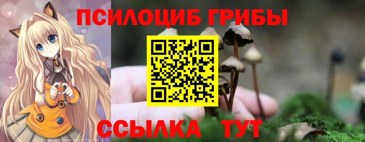 Псилоцибиновые грибы мицелий  Елабуга 