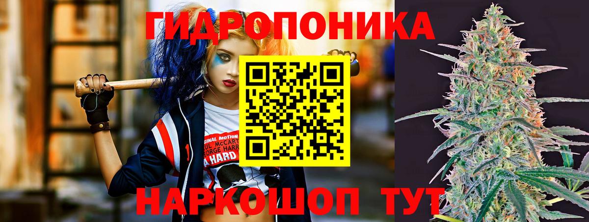 Елабуга  Марихуана OG Kush  Конопля SATIVA & INDICA  Канабис ГИДРОПОН  Вход с VPN 